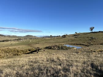 739 Tooma Road Tumbarumba NSW 2653 - Image 2