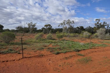 723 Lerida Road Cobar NSW 2835 - Image 3