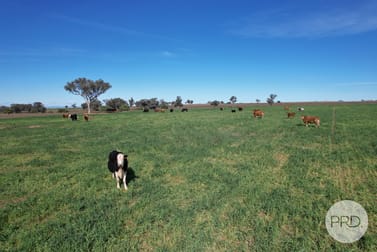 42 Jenners Lane Tamworth NSW 2340 - Image 3