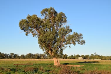 169L Narromine Road Dubbo NSW 2830 - Image 3