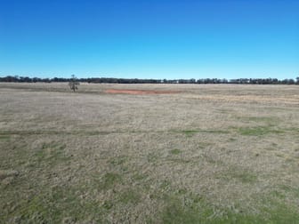 977 Schmidts Road Temora NSW 2666 - Image 3