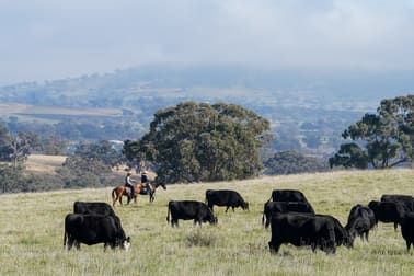 'Bunyarra Range' 60 Bunyarra Lane Orange NSW 2800 - Image 1