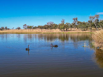 1142 Mount Walker West Road Mount Walker West QLD 4340 - Image 2