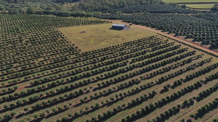 Skyring Reserve QLD 4671 - Image 1