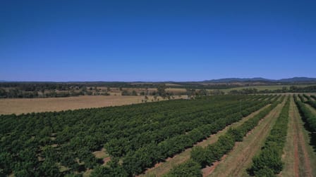 Skyring Reserve QLD 4671 - Image 3