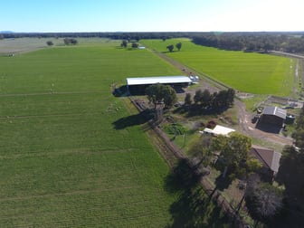 3943 Bedgerabong Road Forbes NSW 2871 - Image 2