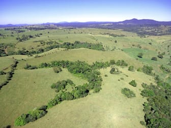 Millaa Millaa QLD 4886 - Image 2