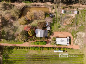 221 Herbert Road Harvey WA 6220 - Image 3