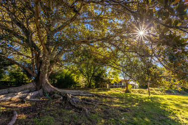 231 Stony Creek Road Kimbriki NSW 2429 - Image 3