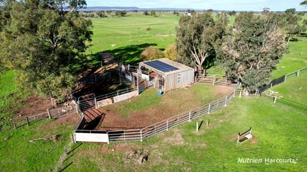 271 Mayfield Road Beermullah WA 6503 - Image 3
