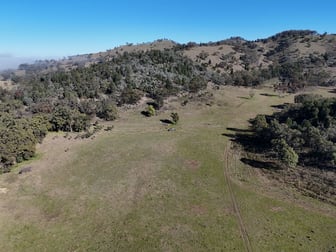 Lot 128 Cuthel Lane Gulgong NSW 2852 - Image 3