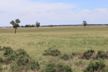 523 Norris Lane West Wyalong NSW 2671 - Image 1