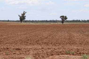 523 Norris Lane West Wyalong NSW 2671 - Image 2