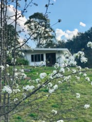 2575 Paddys Flat Road Tabulam NSW 2469 - Image 2