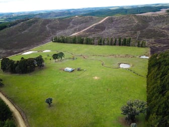 233 Logans Road Tumbarumba NSW 2653 - Image 1