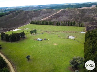 233 Logans Road Tumbarumba NSW 2653 - Image 1