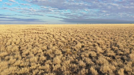 5075 Cramsie Muttaburra Road Longreach QLD 4730 - Image 3