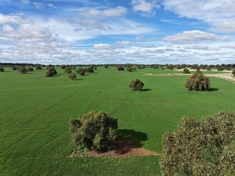 "Roseleigh" Roseleigh Road Trundle NSW 2875 - Image 1