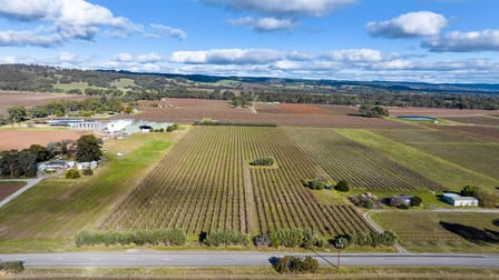 Lot 24 Hamilton Road Mclaren Flat SA 5171 - Image 1