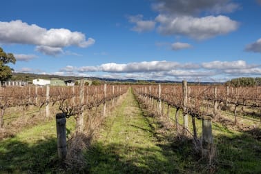 Lot 24 Hamilton Road Mclaren Flat SA 5171 - Image 3
