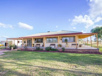 Farm 323 Koonadan Road Leeton NSW 2705 - Image 1