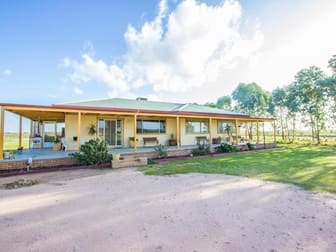 Farm 323 Koonadan Road Leeton NSW 2705 - Image 2