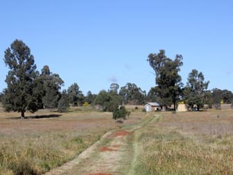 143 Boree Street Grong Grong NSW 2652 - Image 1