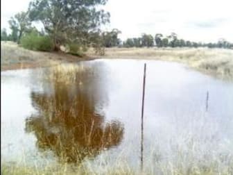 143 Boree Street Grong Grong NSW 2652 - Image 2