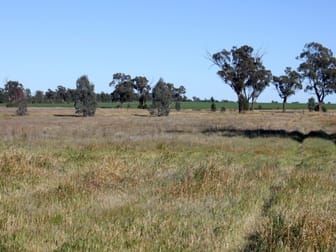 143 Boree Street Grong Grong NSW 2652 - Image 3