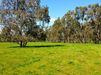 Leeton NSW 2705 - Image 1