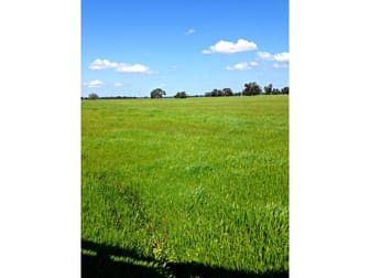 Leeton NSW 2705 - Image 2