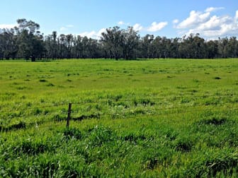 Leeton NSW 2705 - Image 3
