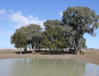 Glenn Road Coleambally NSW 2707 - Image 3