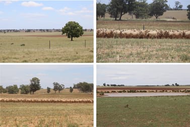 179 Norris Lane West Wyalong NSW 2671 - Image 1