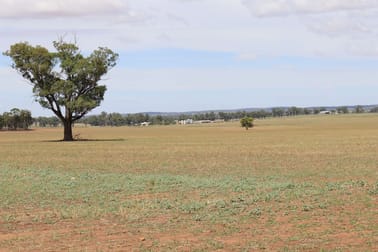 179 Norris Lane West Wyalong NSW 2671 - Image 3