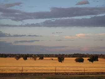 1371 Sandigo Road Boree Creek NSW 2652 - Image 2