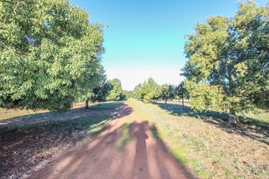 "Kimberley/34 Lachlan Street Grong Grong NSW 2652 - Image 2