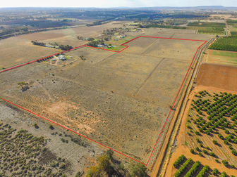193 Canal Road Leeton NSW 2705 - Image 3