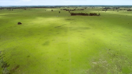 'Broadmarsh' 4731 Yuleba - Surat Road Surat QLD 4417 - Image 1