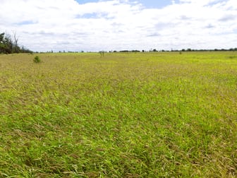 'Broadmarsh' 4731 Yuleba - Surat Road Surat QLD 4417 - Image 3