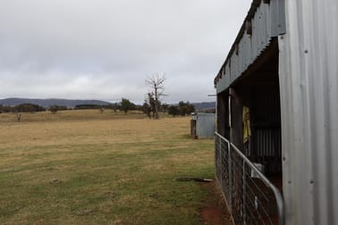 321 Bukeiro Road Walcha NSW 2354 - Image 2
