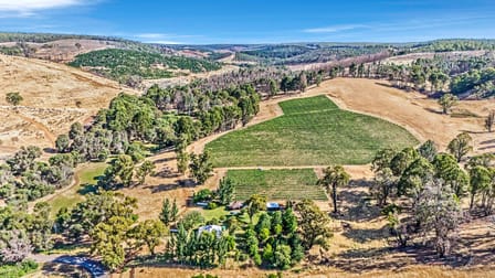 254 Mandalay Road Glen Mervyn WA 6239 - Image 1