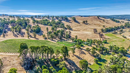 254 Mandalay Road Glen Mervyn WA 6239 - Image 2