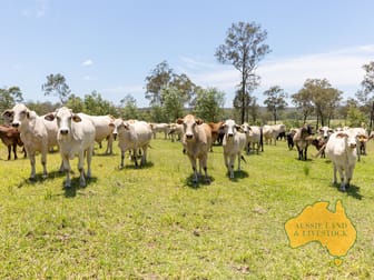 0 Monto Mount Perry Road Mount Perry QLD 4671 - Image 3