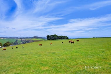 201 Natone Road Stowport TAS 7321 - Image 1