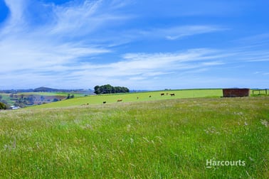 201 Natone Road Stowport TAS 7321 - Image 2