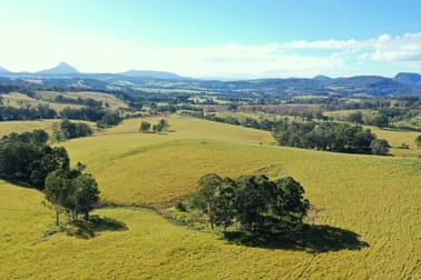1284 Beaury Creek Road Woodenbong NSW 2476 - Image 2