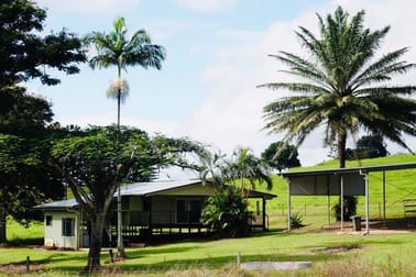 1297 Mossman-Mount Molloy Road Julatten QLD 4871 - Image 3