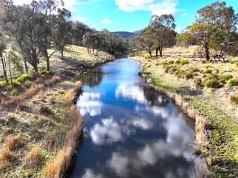 1380 Bezzants Road Deepwater NSW 2371 - Image 3