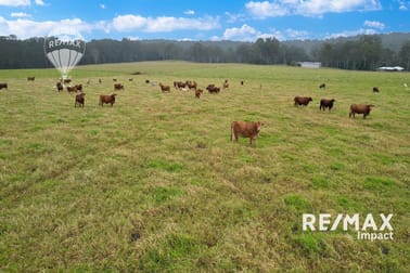 209 Elms Road Wondecla QLD 4887 - Image 1